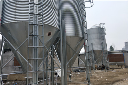 40噸大牧人料塔養(yǎng)殖料塔